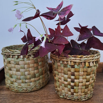 Basketry Workshop Weave your own Plant Pot | Saturday July 1st @ 11am - Radical Giving 