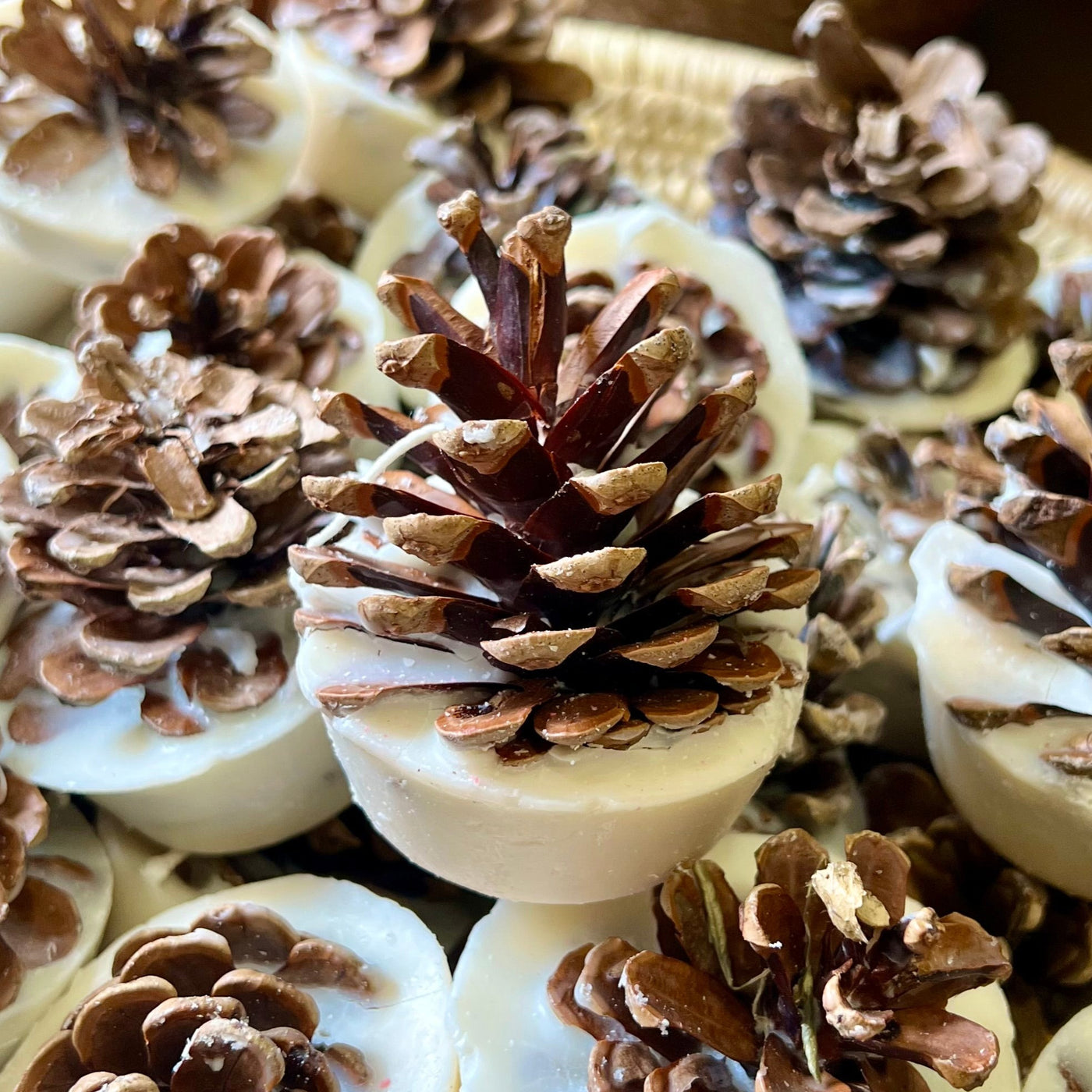 Scented Pinecone Fire Lighters